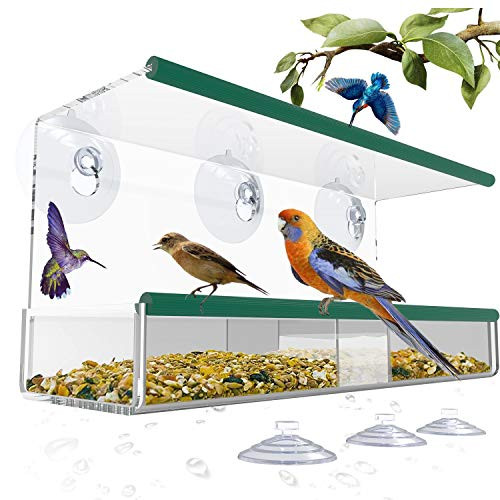 Bird Feeders for Outside Window Bird Feeder with 3 Extra Strong Suction Cups and Seed Tray Squirrel Proof Bird Feeders for Finch Cardinal Bluebird Bird Feeder Large Outside Hanging Birdhouse Kits Bird Feeders for Outside Window Bird Feeder with 3 Extra Strong Suction Cups and Seed Tray Squirrel Proof Bird Feeders for Finch Cardinal Bluebird Bird Feeder Large Outside Hanging Birdhouse Kits