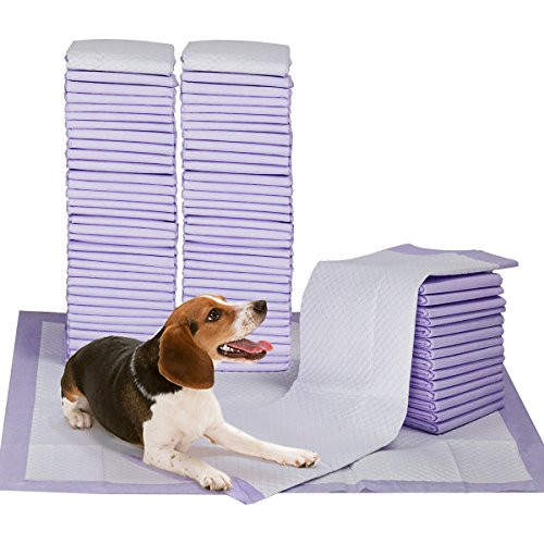 Petphabet 100 Pack Dog Pee Pads 23 by 24 InchesLavender Scented Dog Training Pads with Attractant