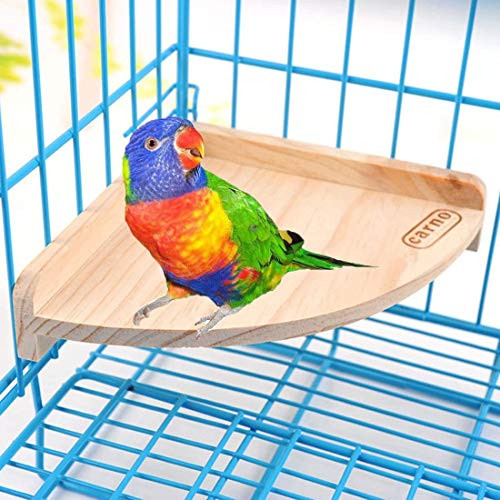 Bird Wood Perch Toy Stand Platform Playground for Parrot Parakeet Cockatiel African Grey Budgie Conure Lovebird Hamster Rat Gerbil Cage Accessories Exercise Toy