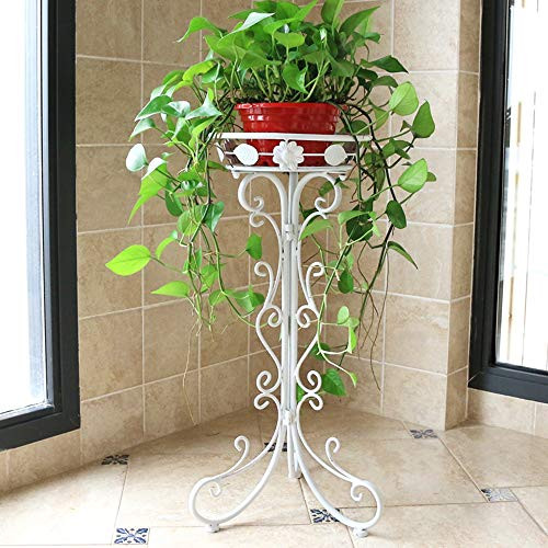 Wrought Iron Plant Stands Indoor OutdoorMetal Tall Plant Stand Iron Flower StandFlower Pot Holder Flower Pot Stand Flower Pot SupportingPlant Holders Plant Rack Potted Plant StandWhite295in Wrought Iron Plant Stands Indoor OutdoorMetal Tall Plant Stand Iron Flower StandFlower Pot Holder Flower Pot Stand Flower Pot SupportingPlant Holders Plant Rack Potted Plant StandWhite295in