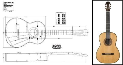 Plan of a 1967 Hermann Hauser II Classical Guitar  Full Scale Print