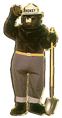 FIRE  EMS SMOKEY THE BEAR  Original Artwork Expertly Designed PIN  1