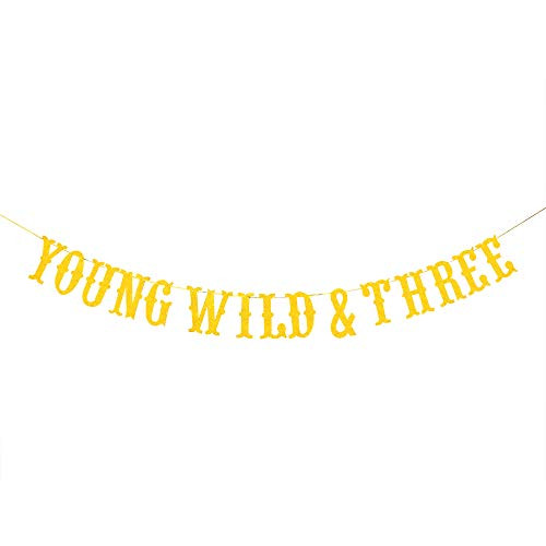 Young Wild Three Banner 3rd Birthday Banner Kids Threeyearold Theme Party Decoration Gold Glitter Young Wild Three Banner 3rd Birthday Banner Kids Threeyearold Theme Party Decoration Gold Glitter