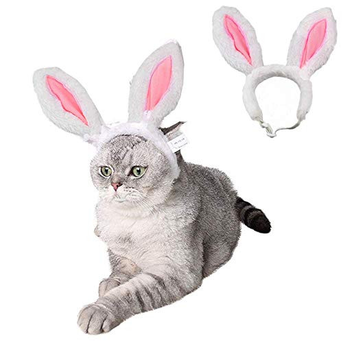 ANIAC Pet Headgear Soft Headband with Cute Bunny Ears Warm Hat Head Accessories Easter Costume for Cats Kitten Puppy and Small Dogs SmallHead Girth95 Inch  11 Inch