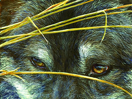 SunsOut Wolf Eyes and Reeds 500 pc Jigsaw Puzzle