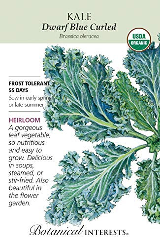 Botanical Interests Seed Kale Dwarf Blue Curled