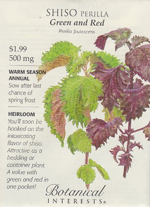 Shiso Perilla Green  Red Seeds  50 grams