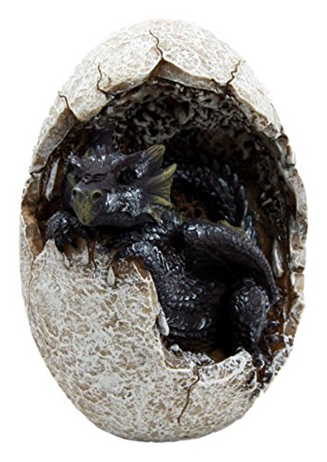 Ebros Gift Fossil Twilight Onyx Dragon Hatchling Breaking Out of Egg Shell Decorative Figurine Dungeons and Dragons Collectible Figurine Museum Like Eggs Decor Medieval Renaissance Theme Ebros Gift Fossil Twilight Onyx Dragon Hatchling Breaking Out of Egg Shell Decorative Figurine Dungeons and Dragons Collectible Figurine Museum Like Eggs Decor Medieval Renaissance Theme
