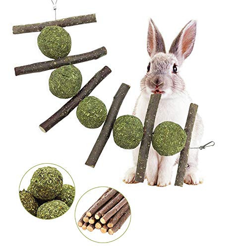 Rabbit Toys Bunny Chew Toys for Teeth Grinding 100 Natural Organic Wood Apple Sticks and Timothy Hay Balls Improve Pets Dental Health for Rabbit Chinchillas Guinea Pigs Hamsters Totoro Rodent Rabbit Toys Bunny Chew Toys for Teeth Grinding 100 Natural Organic Wood Apple Sticks and Timothy Hay Balls Improve Pets Dental Health for Rabbit Chinchillas Guinea Pigs Hamsters Totoro Rodent