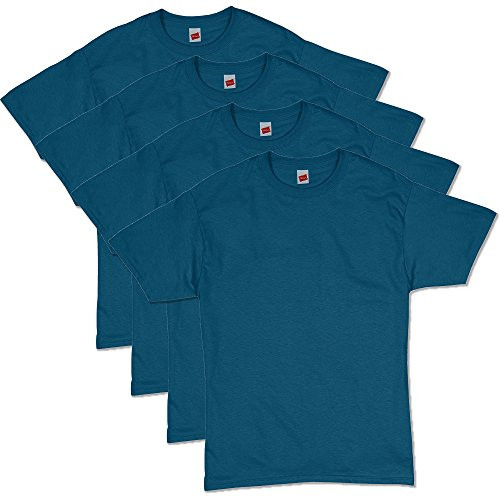 Hanes Mens ComfortSoft Short Sleeve TShirt 4 Pack sapphire2XL