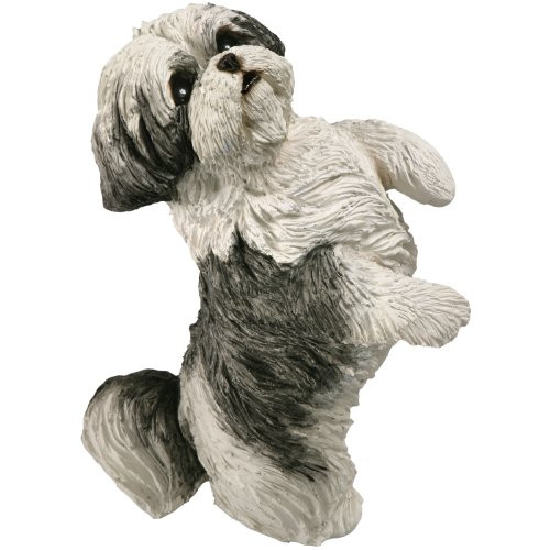 Sandicast Small Size Silver and White Shih Tzu Sculpture, Sitting Pretty