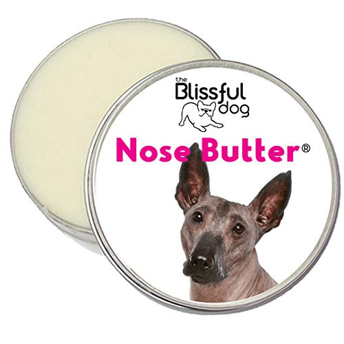The Blissful Dog Xoloitzcuintli Nose Butter  Dog Nose Butter 2 Ounce