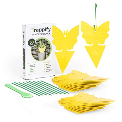 Trappify Sticky Fruit Fly and Gnat Trap Yellow Sticky Bug Traps for IndoorOutdoor Use  Insect Catcher for White Flies Mosquitos Fungus Gnats Flying Insects  Disposable Glue Trappers 50