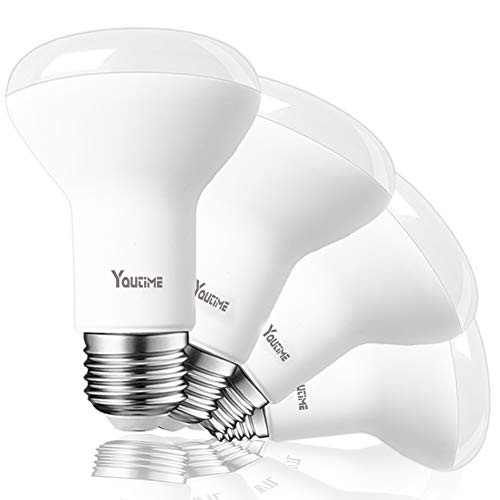 BR20 LED Bulb Dimmable, 7W (50W Equivalent) 550LM and 5000K Daylight Flood Light Indoor, E26 Medium Screw Base Light Bulb for Bathroom & Kichen, 4 Packs by Youtime BR20 LED Bulb Dimmable, 7W (50W Equivalent) 550LM and 5000K Daylight Flood Light Indoor, E26 Medium Screw Base Light Bulb for Bathroom & Kichen, 4 Packs by Youtime