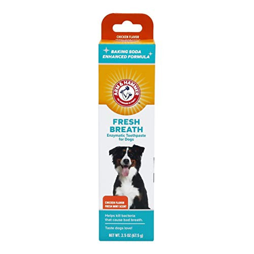 Arm  Hammer Dog Dental Care Fresh Breath Enzymatic Toothpaste for Dogs  No More Doggie Breath  Safe for Puppies Advanced Care Chicken Flavor