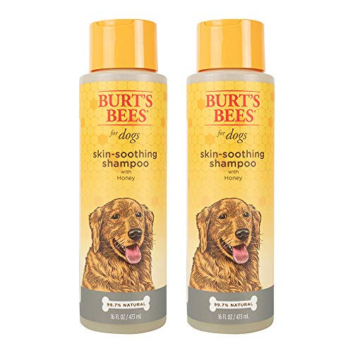 Burts Bees for Pets Dogs Natural Skin Soothing Shampoo with Honey  Puppy and Dog Shampoo 16 Ounces  2 Pack Burts Bees for Pets Dogs Natural Skin Soothing Shampoo with Honey  Puppy and Dog Shampoo 16 Ounces  2 Pack