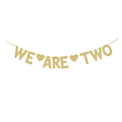 We are Two Gold Gliter Paper Banner Twins 2nd BirthdayKids Bday Decorations Sign