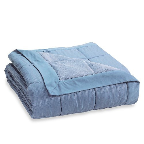 JBFF 250 Thread Count Microfiber Reverse to Fleece Goose Down Alternative Blanket King Sky Blue