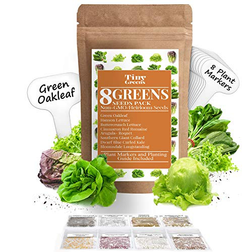 Heirloom Lettuce Leafy Greens Seeds Romaine Kale Spinach Butterhead Oak Arugula Collard Greens 1200 Seeds Non Gmo Seeds For Planting Hydroponic Home Vegetable Garden Microgreen Seeds Heirloom Lettuce Leafy Greens Seeds Romaine Kale Spinach Butterhead Oak Arugula Collard Greens 1200 Seeds Non Gmo Seeds For Planting Hydroponic Home Vegetable Garden Microgreen Seeds