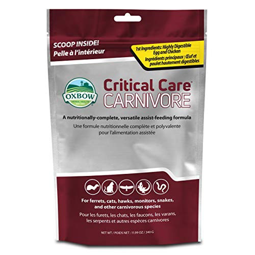 Oxbow Animal Health Critical Care Carnivore 340 Gram Bag 529150103