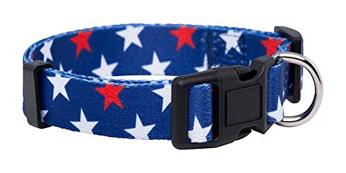 Native Pup American Flag Dog Collar Medium Red  White Stars