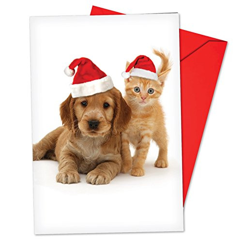 12 Copy Cats Retriever Boxed Christmas Cards with Envelopes 463 x 675 inch Funny Puppy and Kitty Christmas Notes Holiday Dog and Cat Cards Adorable Christmas Stationery B6596HXSG