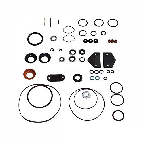 Diesel Care Roosa MasterStanadyne Diesel Injection Pump seal kit 24370 DB2 pumps