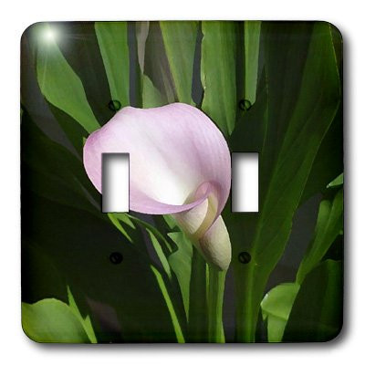 3dRose lsp_4273_2 Pink Calla Lily Double Toggle Switch