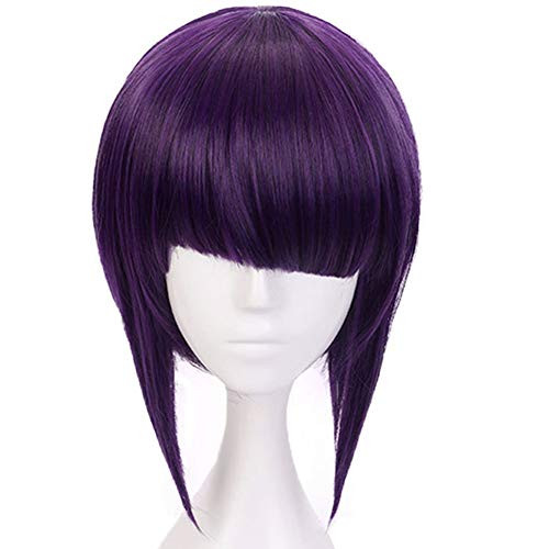 IMEYLE Wig Dark Purple Cosplay Bob Wig Short Straight Wig With Slanting bangs Synthetic Hair Wig For Anime Costume IMEYLE Wig Dark Purple Cosplay Bob Wig Short Straight Wig With Slanting bangs Synthetic Hair Wig For Anime Costume