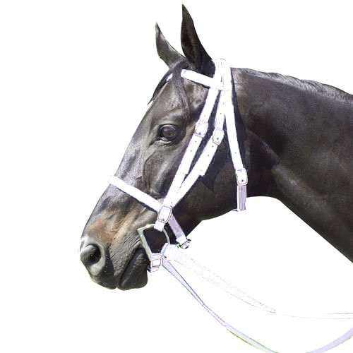 Intrepid International Nylon Race Horse Bridle White