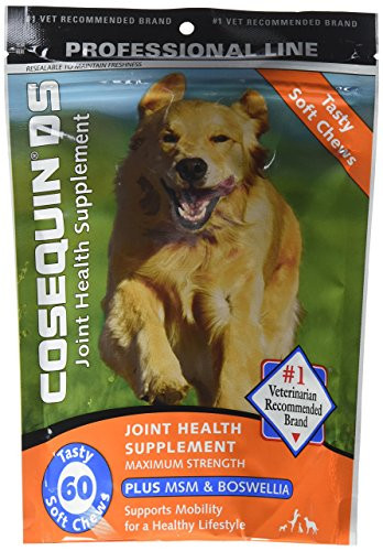 Cosequin DS Plus MSM Professional Line for Dogs 60 soft chews