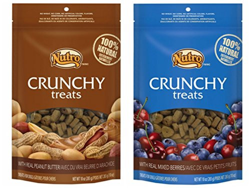 Nutro Crunchy Dog Treats 2 Flavor Variety Bundle 1 Nutro Crunchy Dog Treats with Real Peanut Butter and 1 Nutro Crunchy Dog Treats with Real Mixed Berries 10 Ounces Each 2 Bags Total