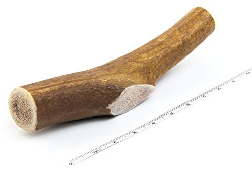 Devil Dog Pet Co Antler Dog Chew Premium Elk Antlers for Dogs Long Lasting Dog Bones for Aggressive Chewers No Mess No Odor Wild Shed in The USA Veteran Owned Jumbo Devil Dog Pet Co Antler Dog Chew Premium Elk Antlers for Dogs Long Lasting Dog Bones for Aggressive Chewers No Mess No Odor Wild Shed in The USA Veteran Owned Jumbo
