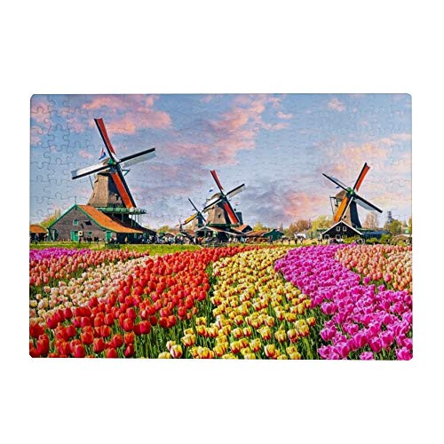 1000 Piece Jigsaw Puzzles for Adults  Dutch Windmills Tulips Flowers Landscape