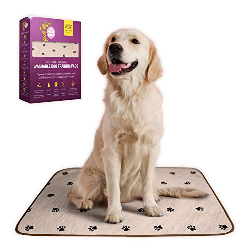 Washable Pee Pads For Dogs  Reusable Pee Pads And Reusable Puppy Pads Waterproof