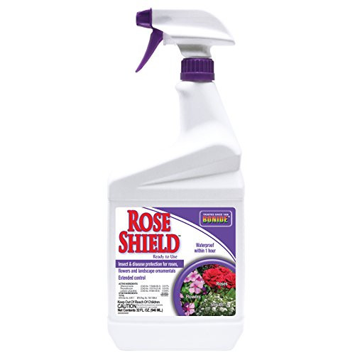 Bonide Chemical 982 037321009825 RTU Rose Shield, 1-Quart, 1 Brown/A Bonide Chemical 982 037321009825 RTU Rose Shield, 1-Quart, 1 Brown/A