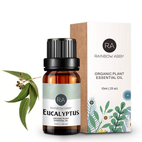 Eucalyptus Essential Oil 100 Pure Aromatherapy Oil for Diffuser Massage Skin Care Soaps Candles  10ml