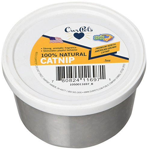 Our Pets Premium NorthAmerican Grown Catnip 12Ounce Cup 1050011697