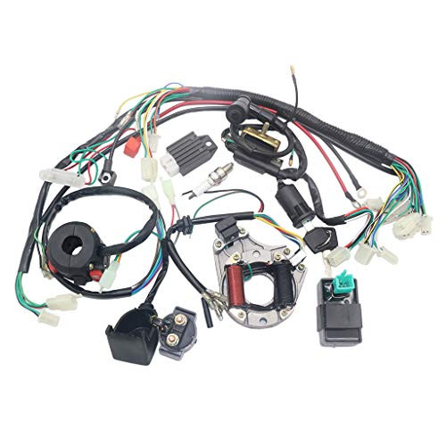 Motorcycle Wire Harness Magneto Coil Electrics Stator Coil Complete Electrics Wiring Harness Stator Coil CDI Wiring Harness Coil Assembly for ATV Electric Quad Kit Wiring Harness Ignition Switch