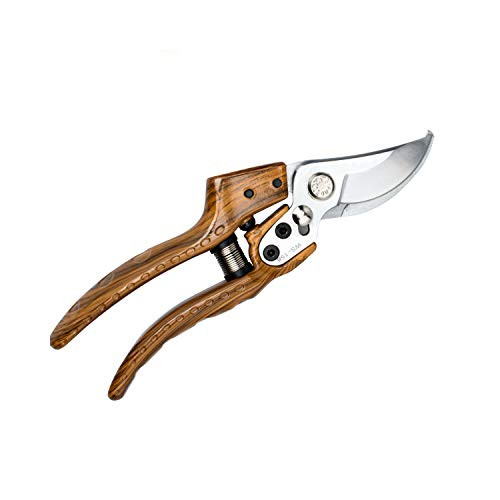 Professional Sharp Pruners, Garden Pruners, Tree Trimmers Secateurs, Bypass Pruning Shears, Secateurs, Hand Pruner, Garden Shears, Gardening Shears Clippers for Plants, Gardening Cutter (wood) Professional Sharp Pruners, Garden Pruners, Tree Trimmers Secateurs, Bypass Pruning Shears, Secateurs, Hand Pruner, Garden Shears, Gardening Shears Clippers for Plants, Gardening Cutter (wood)