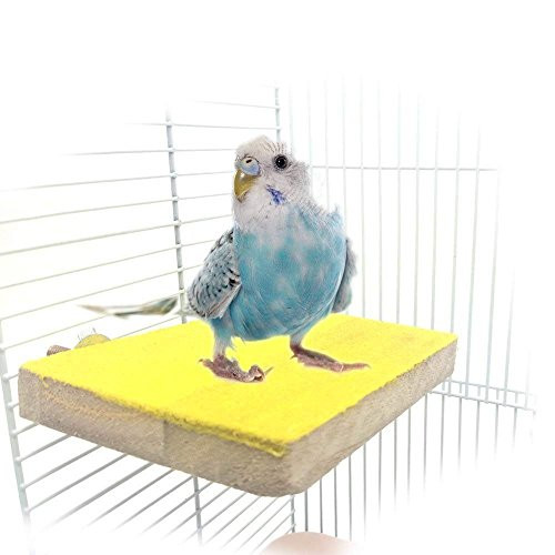 Bird Wood Perch Stand Rough Sand Parrot Colorful Platform Toy Chew Bite Paw Grinding for Macaw African Grey Budgies Parakeet Cockatiel Conure Lovebird Finch Cage Accessories Random Color