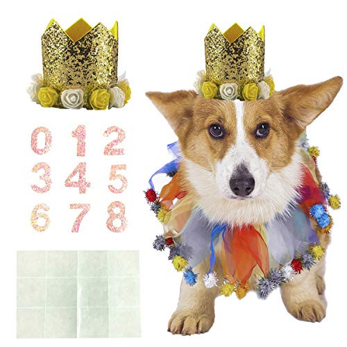 Coomour Dog Birthday Collar Pet Funny Tutu Costume with Birthday Crown Hat for Cat Puppy Party Supplies MediumGold