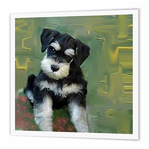 3dRose ht_4158_2 Miniature Schnauzer-Iron On Heat Transfer, 6 by 6", for White Material