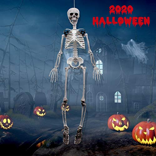 Evoio 40 Inch Tall Halloween Skeleton  Full Body Halloween Skeleton with Movable Joints for Best Halloween Decoration
