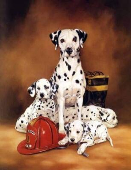 DIY 5D Diamond Painting Dog Kits Painting Cross Stitch Full Drill Crystal Rhinestone Embroidery Pictures Arts Craft for Home Wall Decor Gift