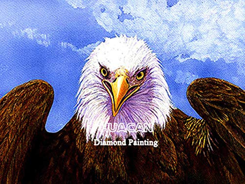 DIY 5D Diamond Painting Bald Eagle Kits Painting Cross Stitch Full Drill Crystal Rhinestone Embroidery Pictures Arts Craft for Home Wall Decor Gift