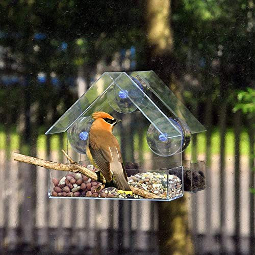 Huaxiangoh Window Bird FeederWindow Suction Bird Feeder High Capacity Seed Tray Small Compact Clear Acrylic Easy Clean Outside Feeders for Transparent Viewing with Super Strong Suction Cups
