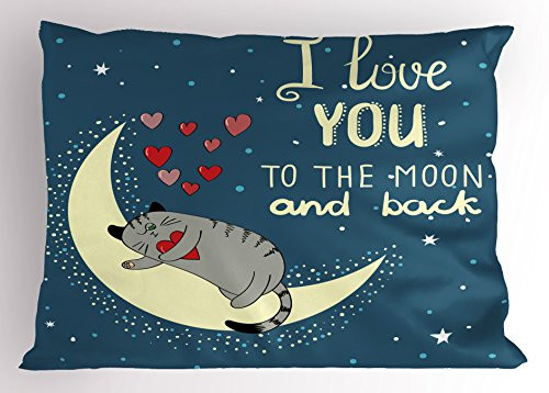 Ambesonne I Love You Pillow Sham by, Sleepy Cat Holding Hearts over the Moon at Night Sky, Decorative Standard Queen Size Printed Pillowcase, 30 X 20 Inches, Slate Blue Warm Taupe Pale Yellow