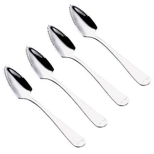 Stainless Steel Grapefruit Spoons for Citrus Fruit Serrated Grapefruit Spoons Dessert Spoon Set of 4 silver
