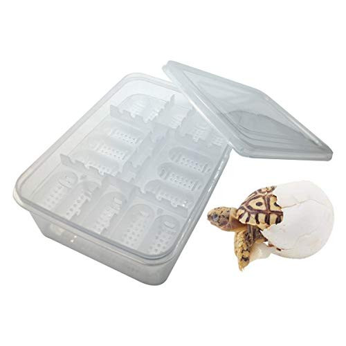 NGe Reptile Egg Incubator 16 Slots Professional Hatcher Hatching Box Case Tray Plastic Breeding Incubator for Hatching SnakeLizards Reptiles